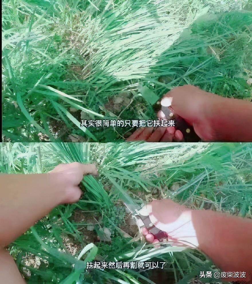 谈谈对躺平的看法理解！年轻人是否应该躺平