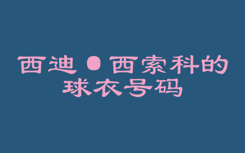 西迪·西索科的球衣号码