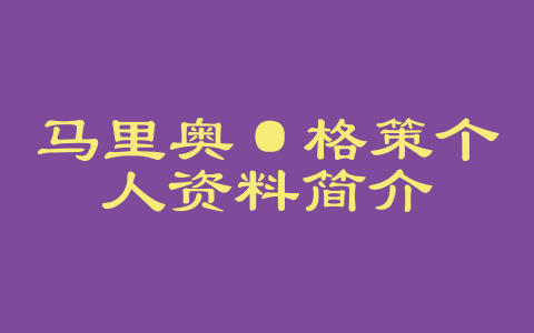 马里奥·格策个人资料简介