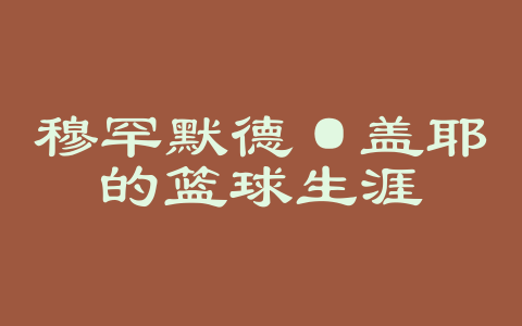 穆罕默德·盖耶的篮球生涯