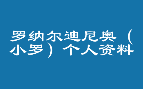罗纳尔迪尼奥（小罗）个人资料简介