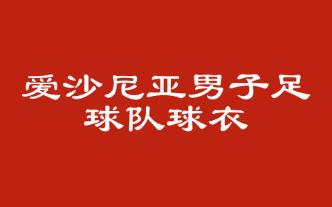 爱沙尼亚男子足球队球衣