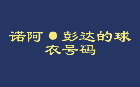 诺阿·彭达的球衣号码