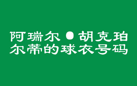 阿瑞尔·胡克珀尔蒂的球衣号码