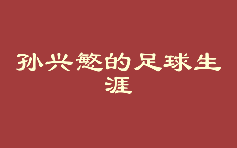 孙兴慜的足球生涯