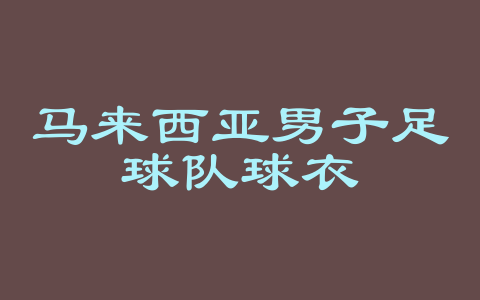 马来西亚男子足球队球衣