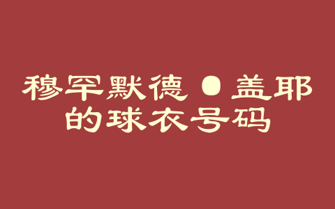 穆罕默德·盖耶的球衣号码