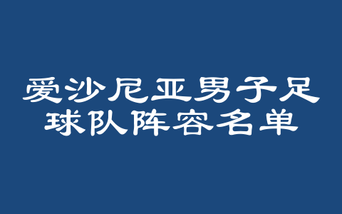 爱沙尼亚男子足球队阵容名单