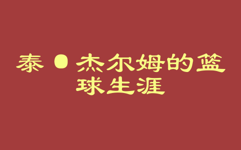 泰·杰尔姆的篮球生涯