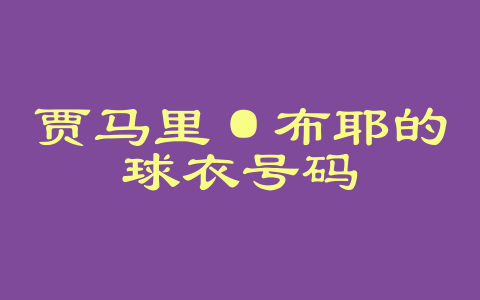 贾马里·布耶的球衣号码